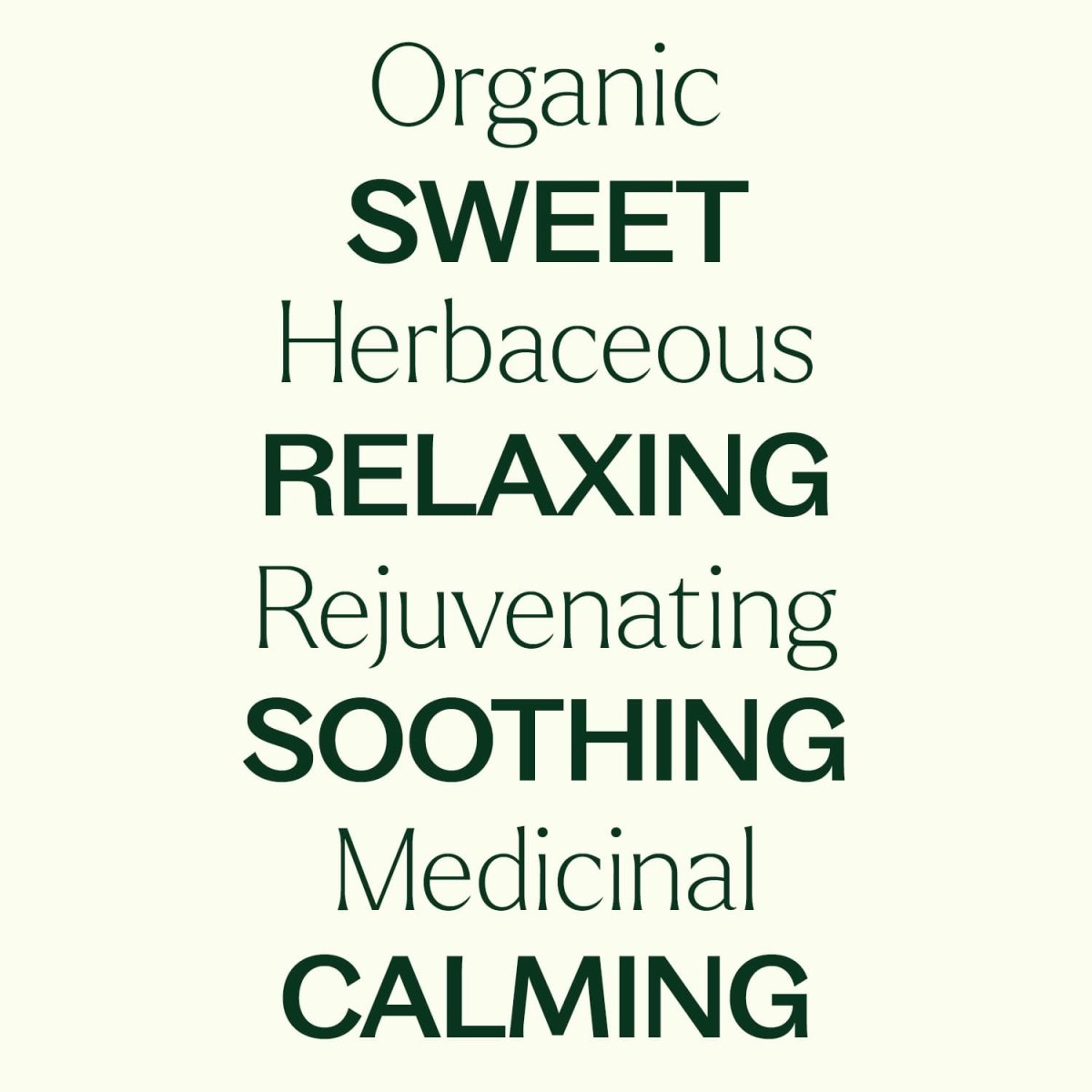 Organic German Chamomile Essential Oil Plant Therapy