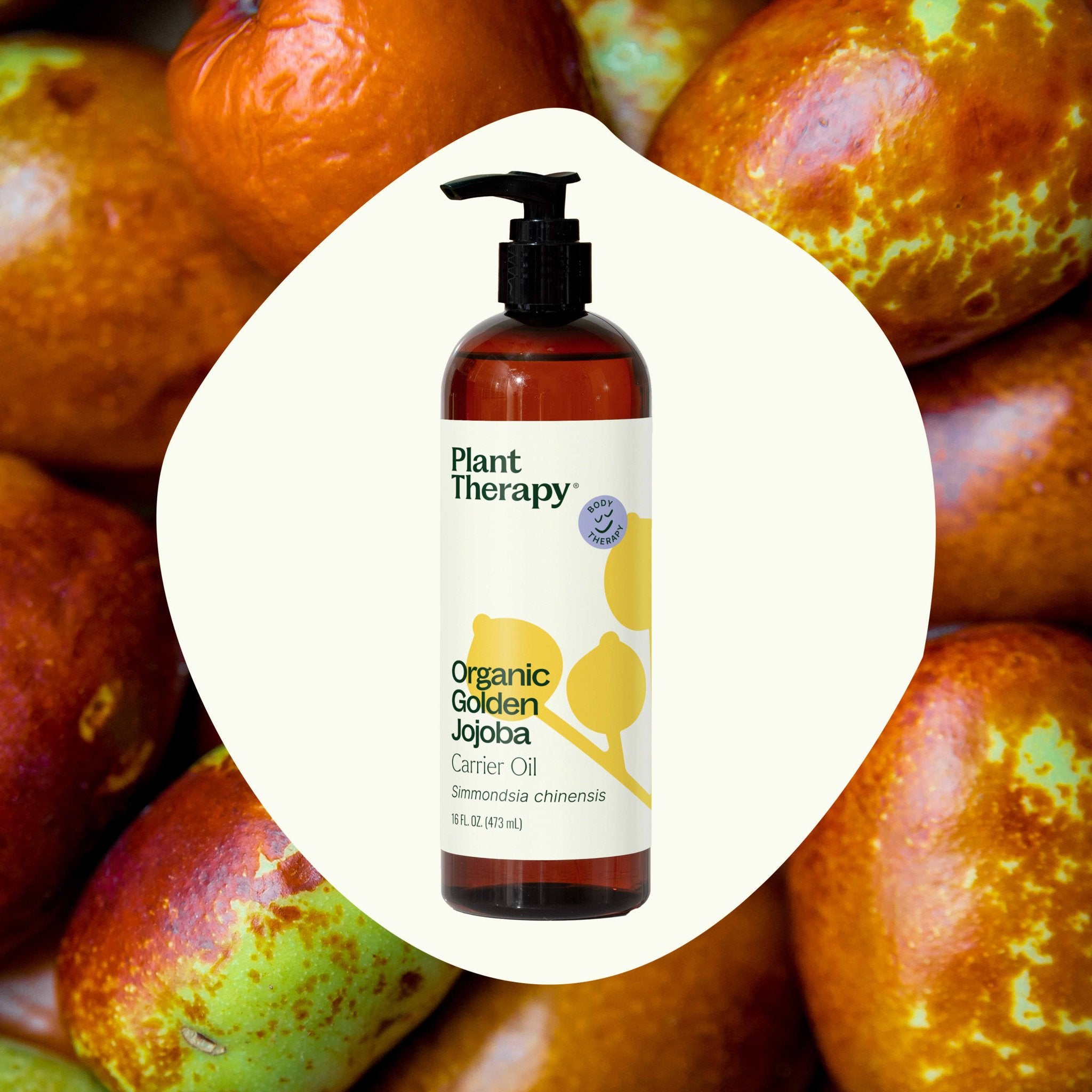 Organic Golden Jojoba Carrier Oil Plant Therapy