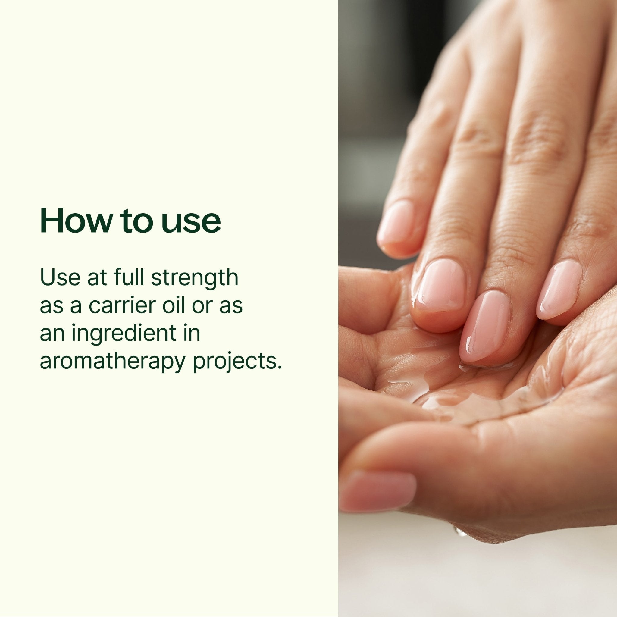 Organic Golden Jojoba Carrier Oil Plant Therapy