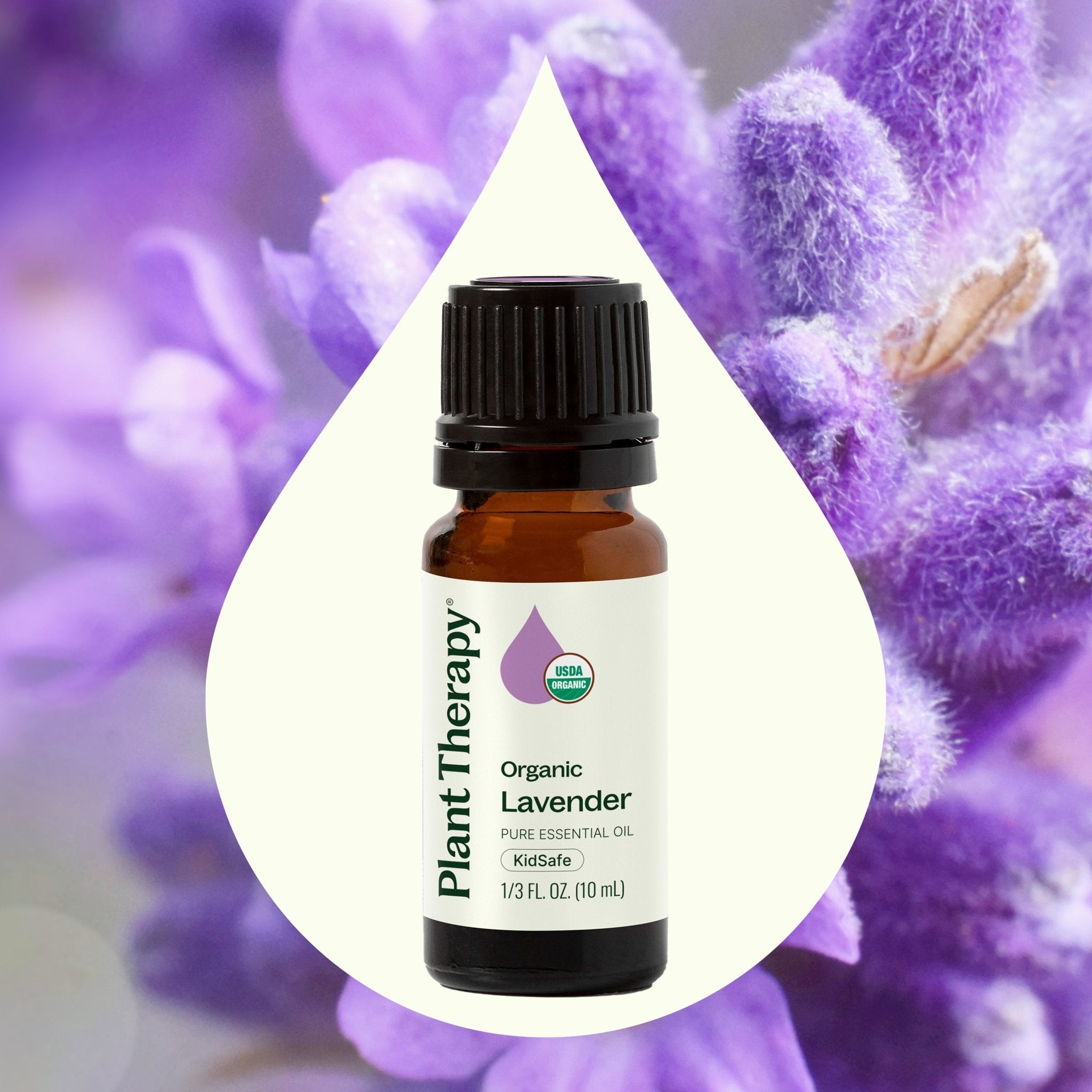 Organic Lavender Essential Oil Plant Therapy