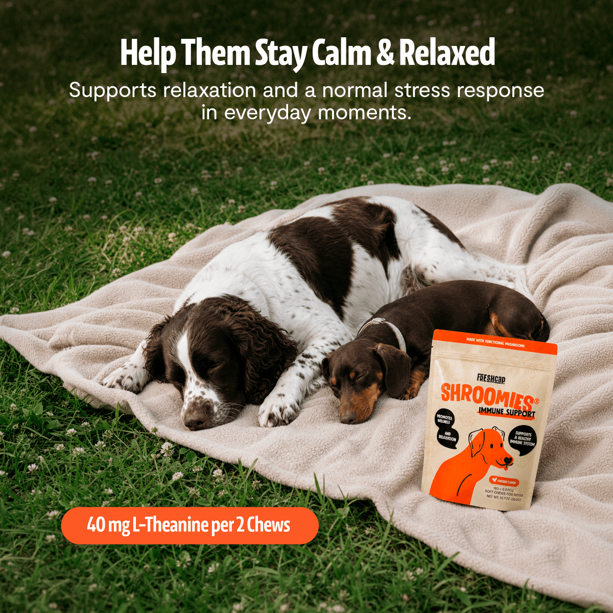 Organic Mushroom Complex for Dogs FreshCap Mushrooms