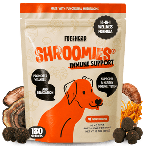 FreshCap Mushrooms Shroomies Mushroom Complex for Dogs pouch: 14-in-1 wellness formula, immune support, 180 soft chews