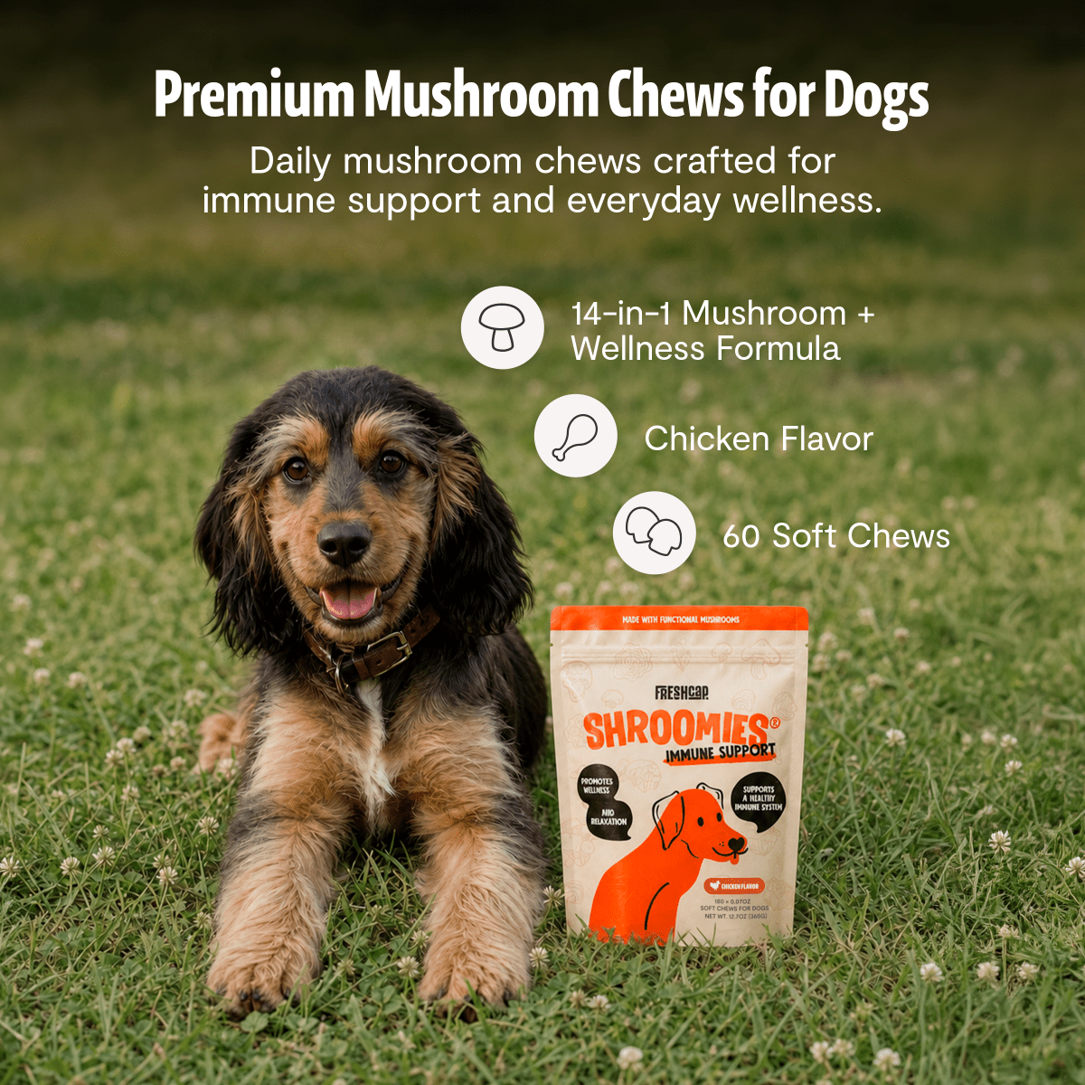 Organic Mushroom Complex for Dogs FreshCap Mushrooms