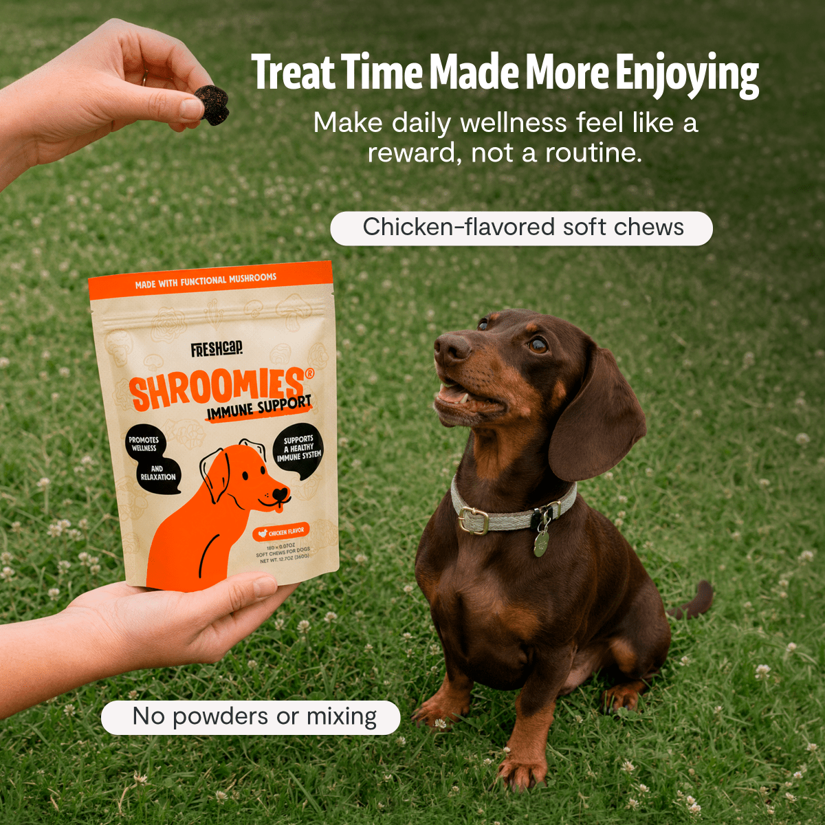 Organic Mushroom Complex for Dogs FreshCap Mushrooms