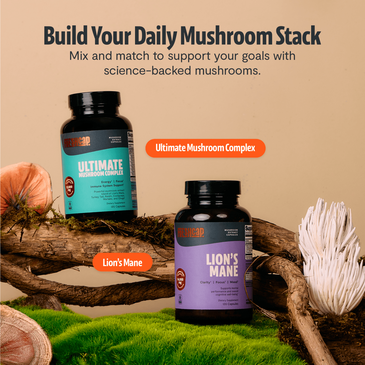 Build your daily mushroom stack: FreshCap Mushrooms Mushroom Complex Capsules and Lion's Mane Powder, alternate view