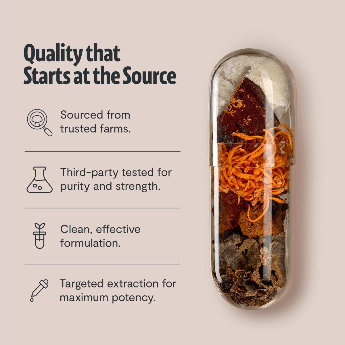 FreshCap Mushrooms Mushroom Complex Capsules: quality at the source, with mushrooms in a capsule, tested, cordyceps and chaga