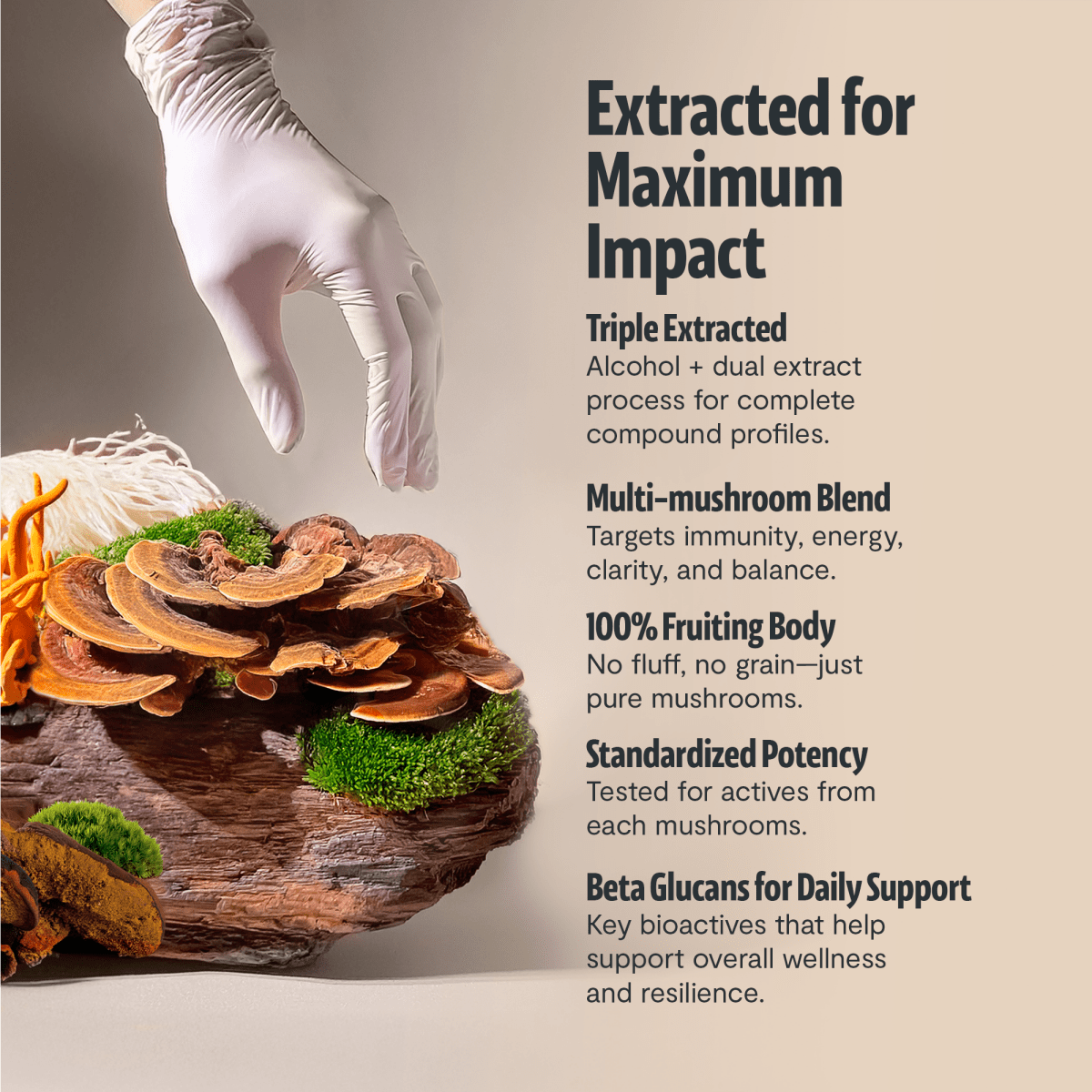 Organic Mushroom Complex Supplement Capsules FreshCap Mushrooms