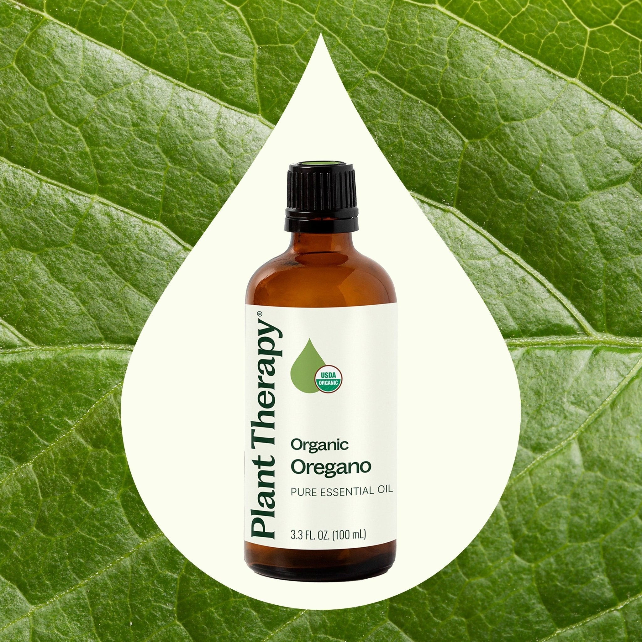 Organic Oregano Essential Oil Plant Therapy