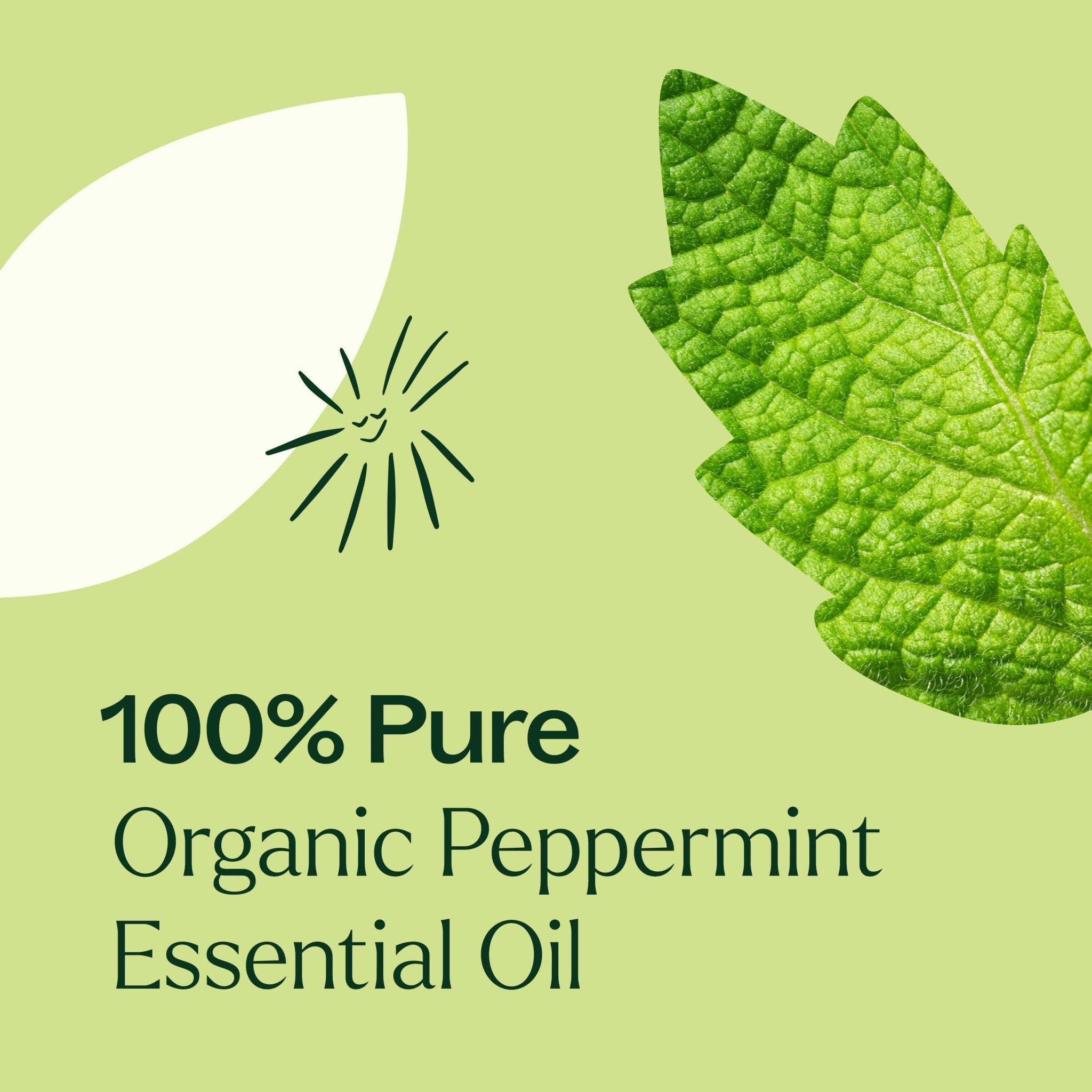 Organic Peppermint Essential Oil Plant Therapy