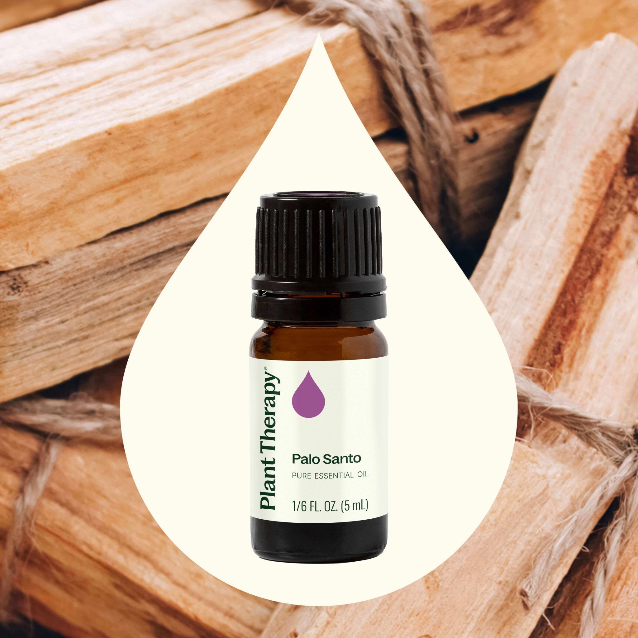 Palo Santo Essential Oil Plant Therapy