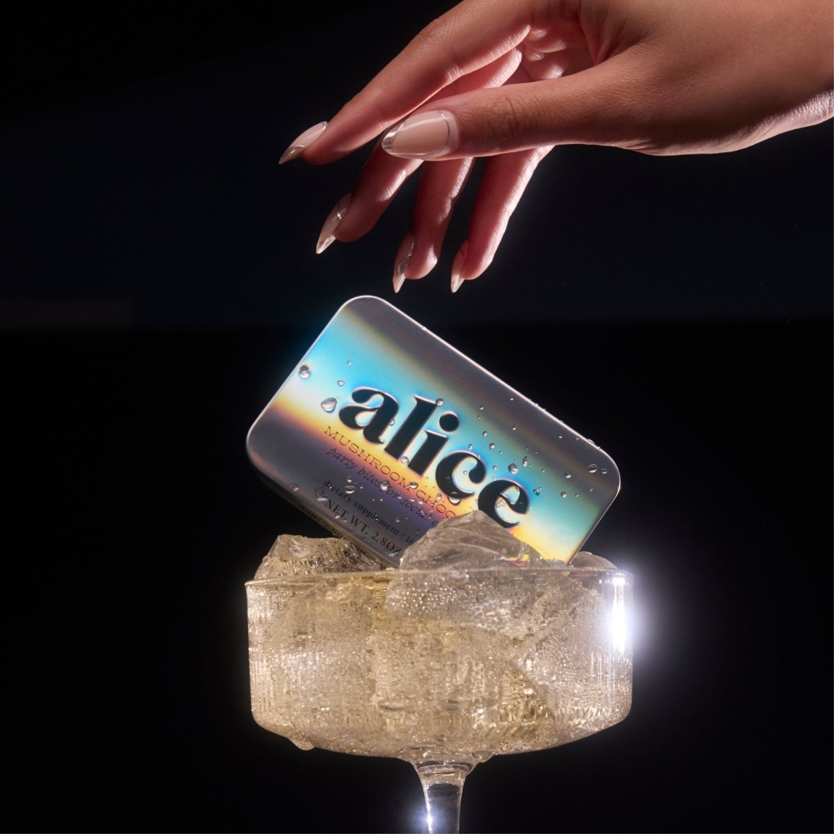 Party Trick alice mushrooms