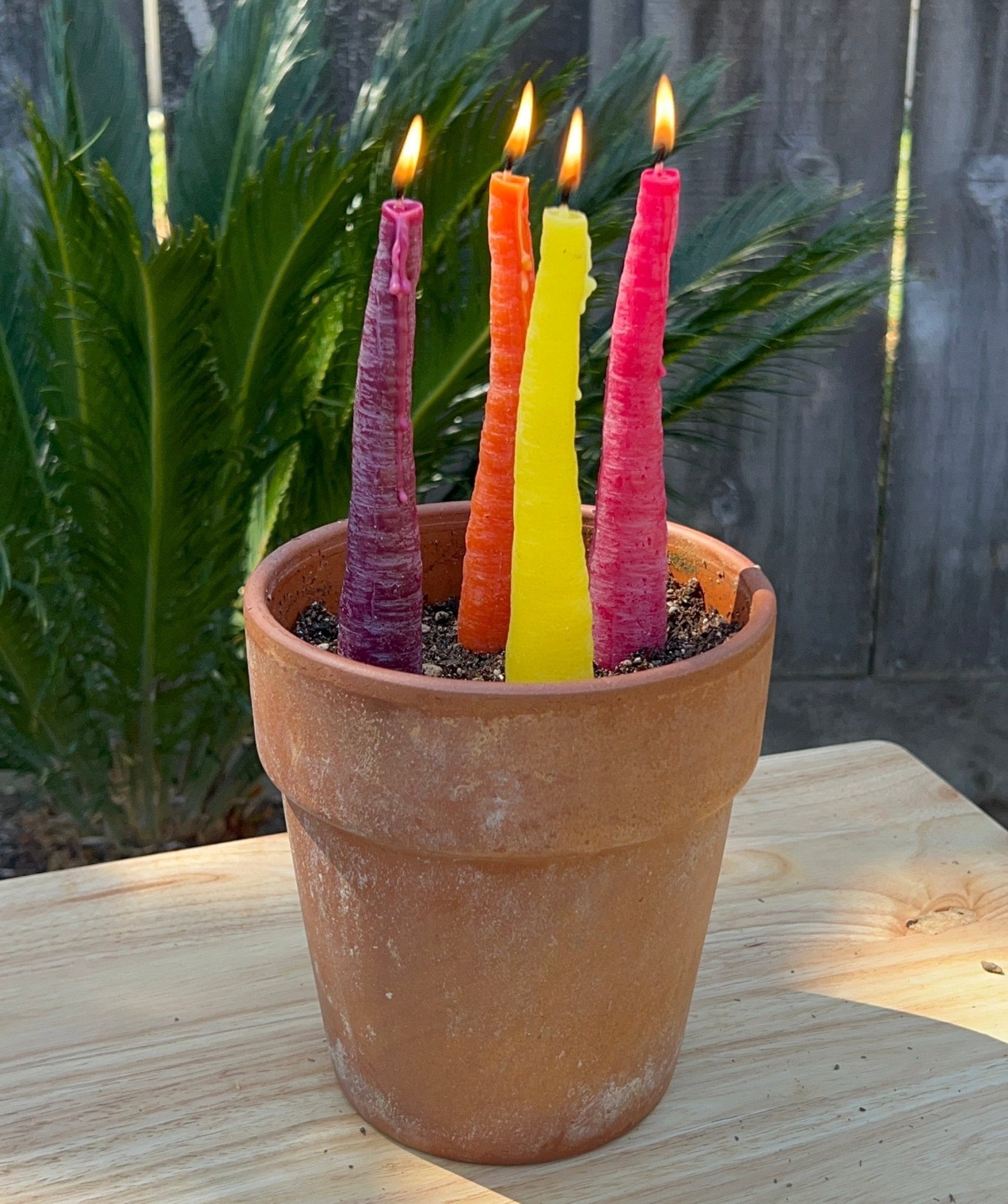 RAINBOW CARROT TAPER BEESWAX CANDLE - SET OF 2 Happy Organics