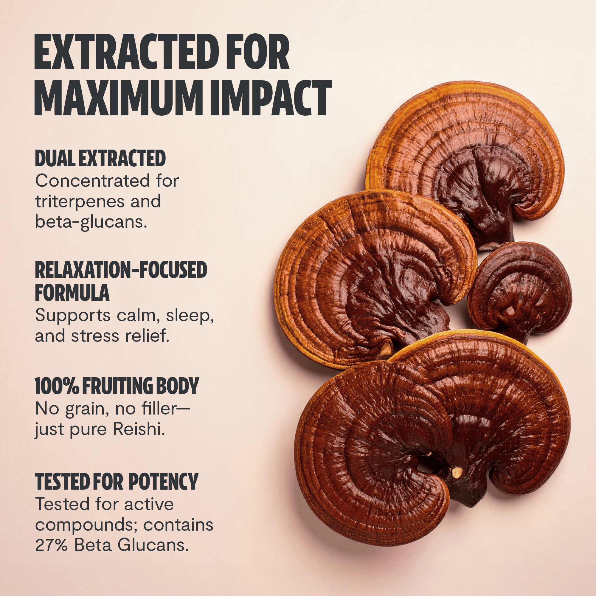 Reishi Mushroom Extract Powder FreshCap Mushrooms