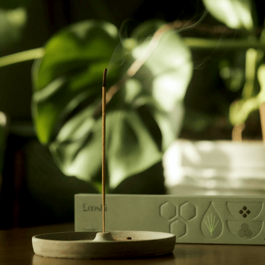 Rewild Incense Sticks Looshi