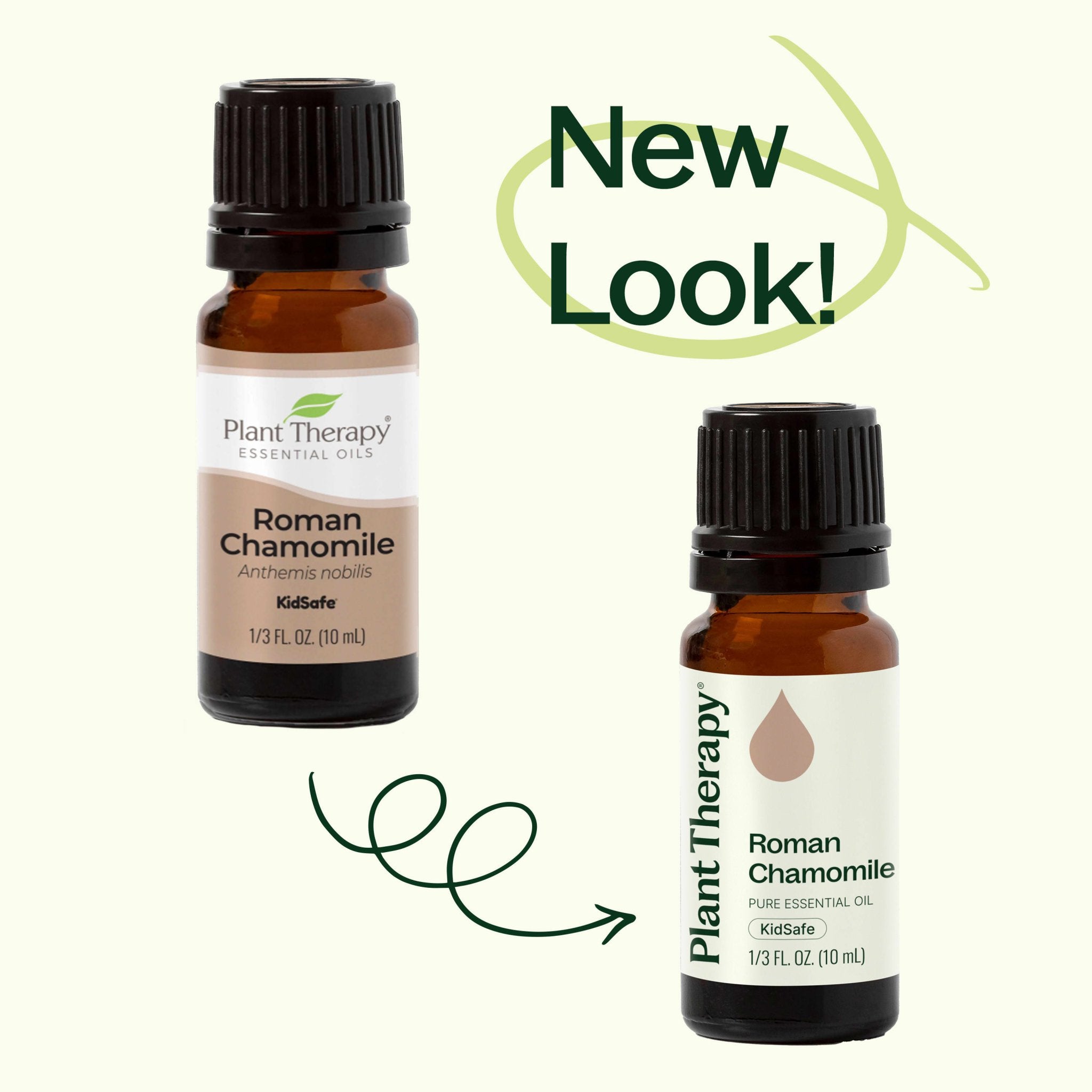 Roman Chamomile Essential Oil Plant Therapy