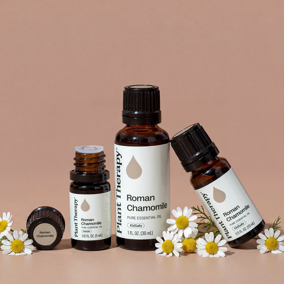 Roman Chamomile Essential Oil Plant Therapy