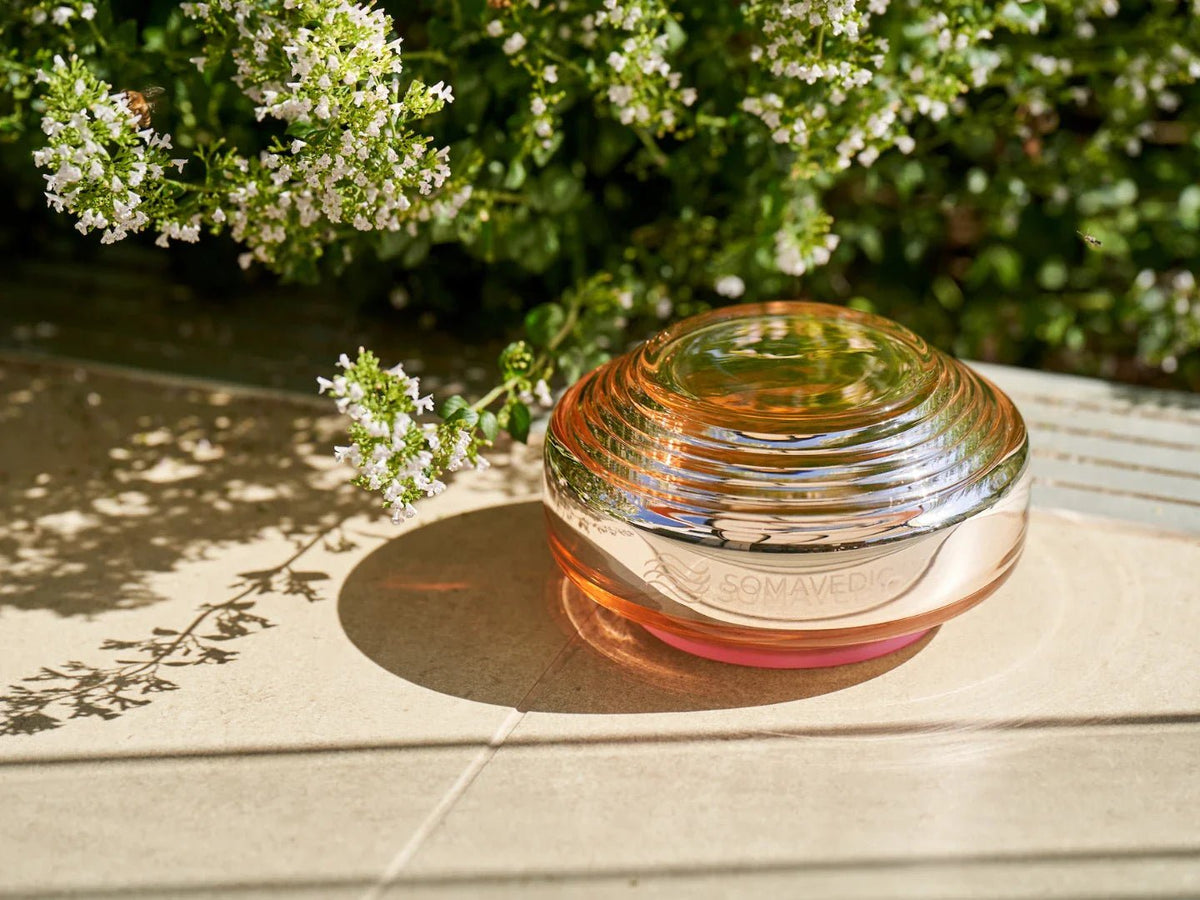 Somavedic Rosalin on a sunlit patio beside flowering shrubs