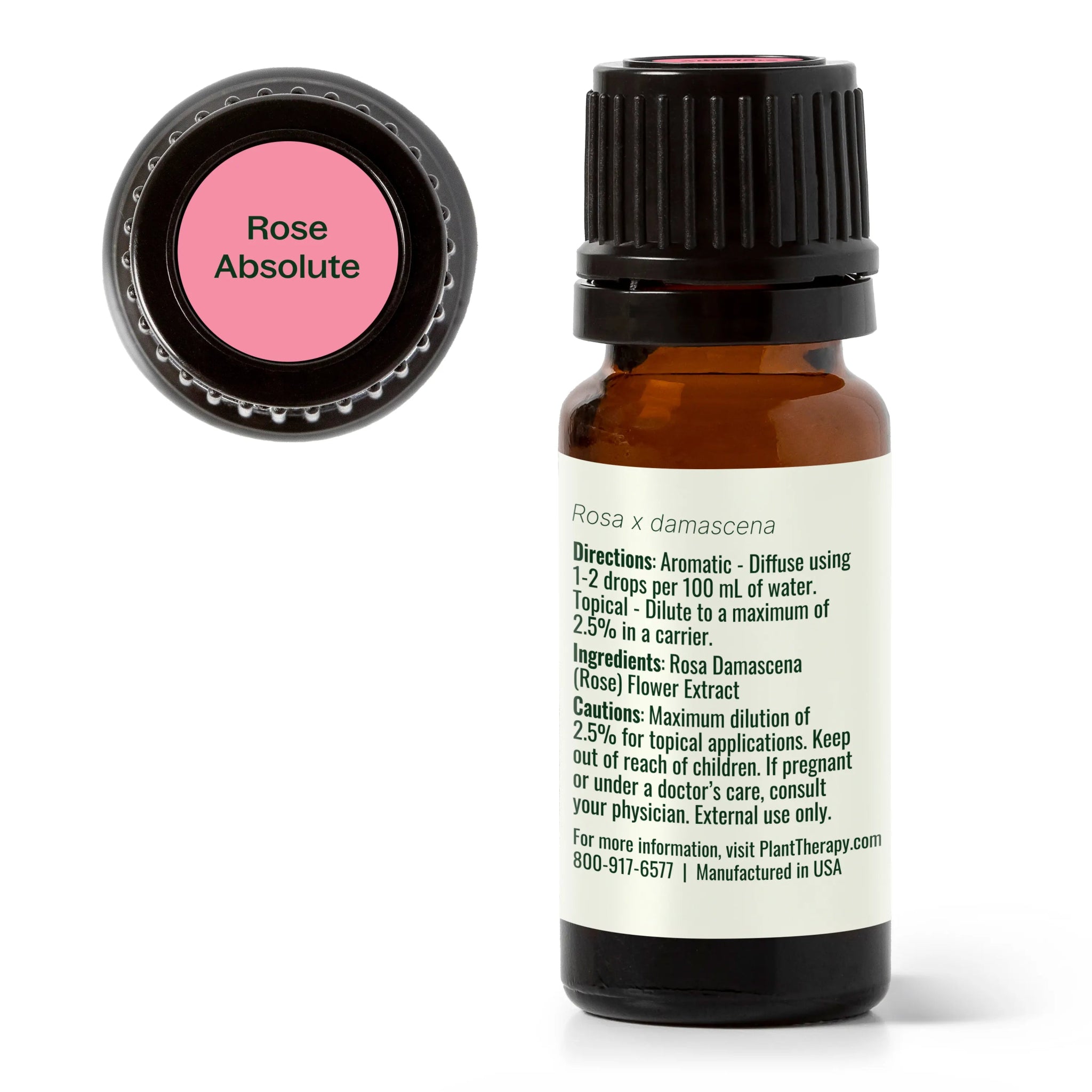 Rose Absolute Essential Oil Plant Therapy