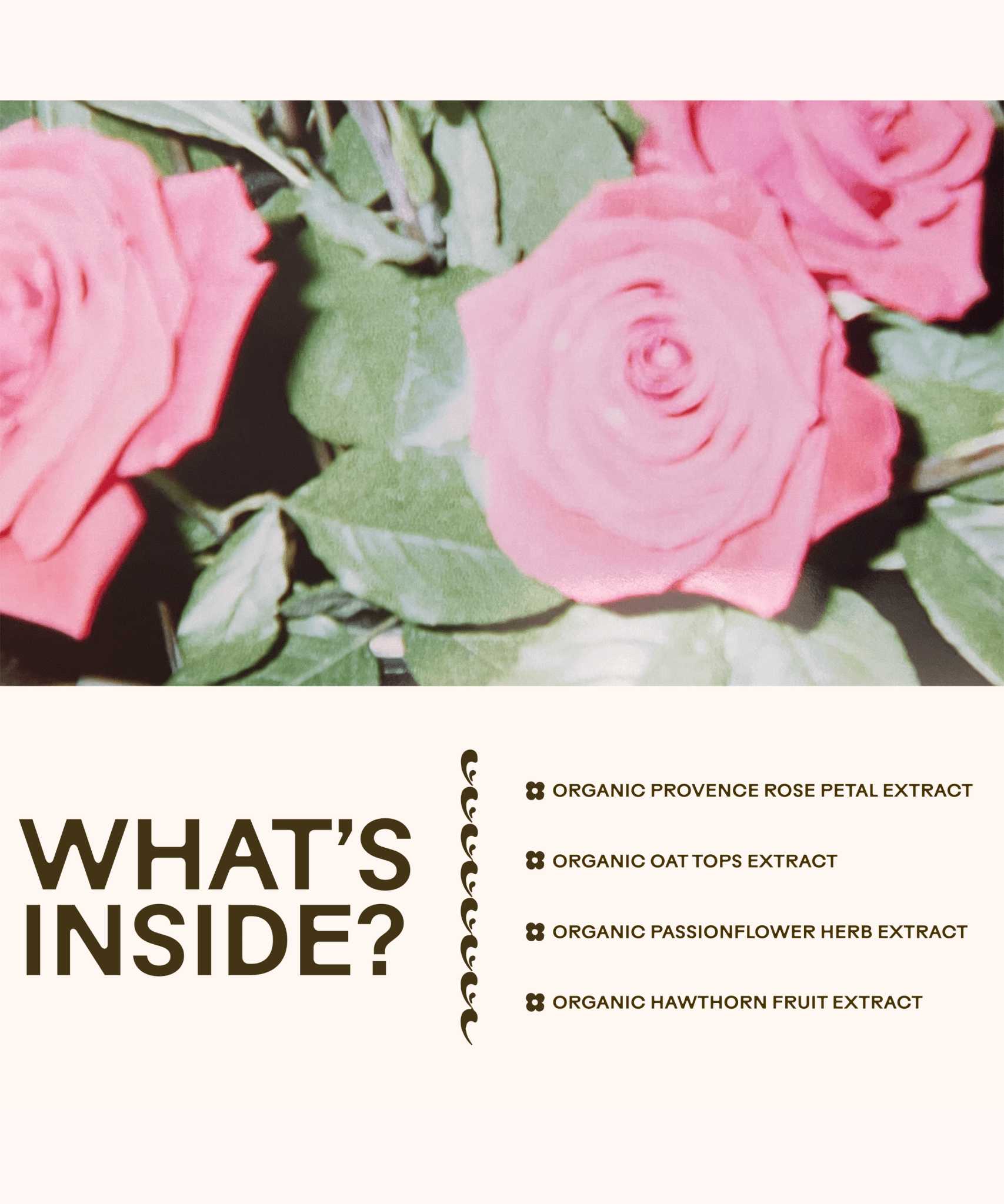 Rose - Colored Glasses WOODEN SPOON HERBS