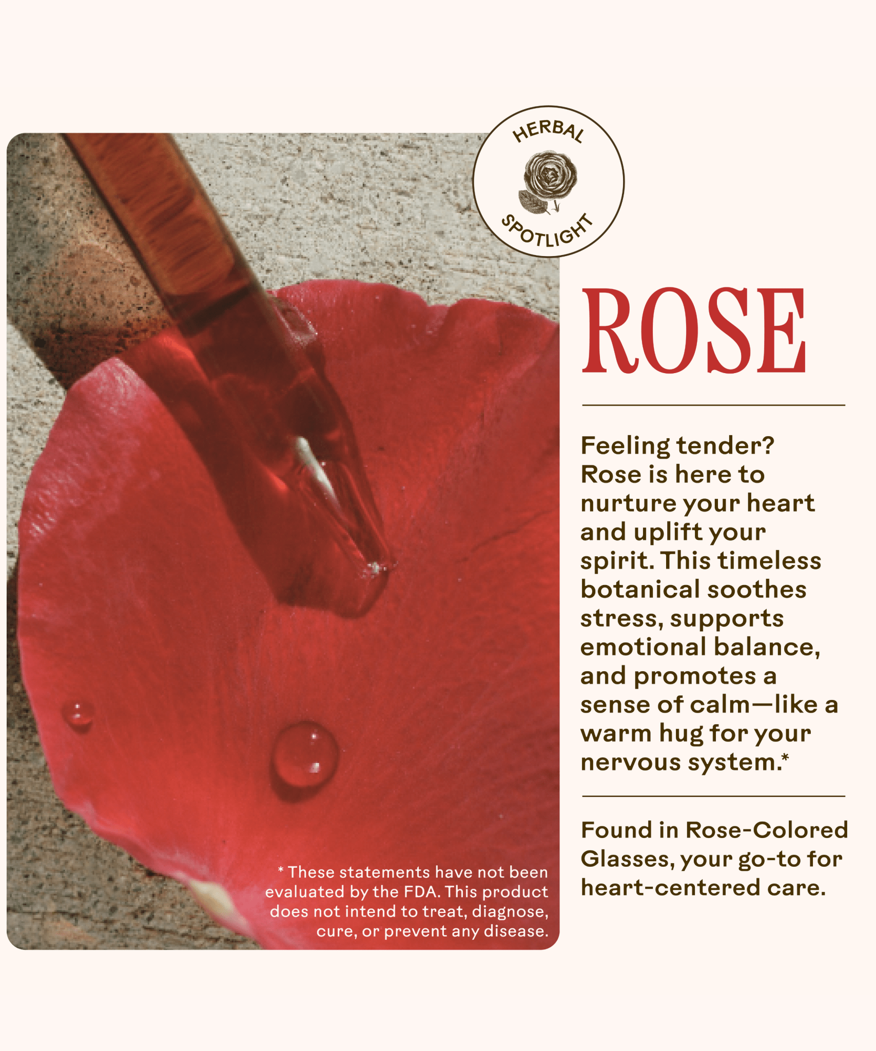 Rose - Colored Glasses WOODEN SPOON HERBS