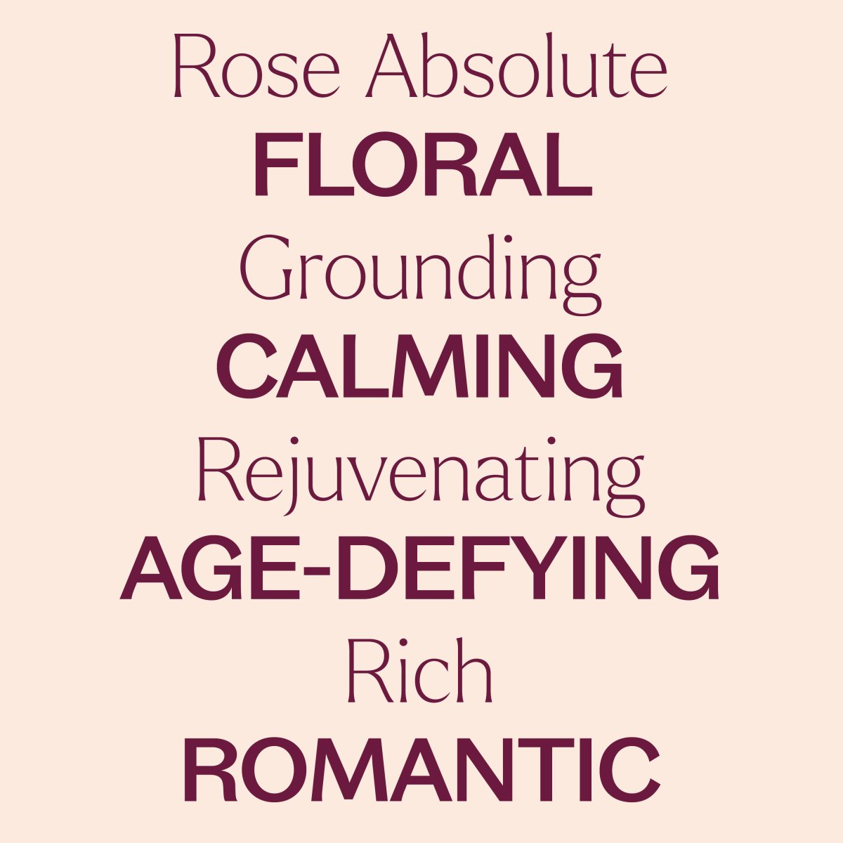 Rose Pure Absolute Essential Oil Plant Therapy