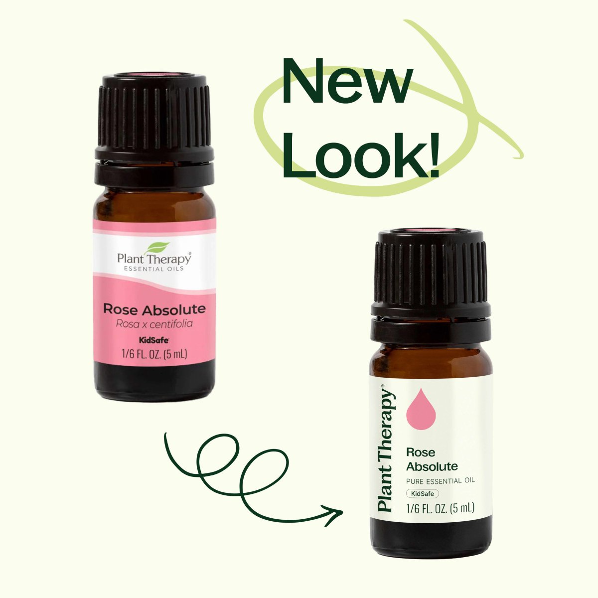 Rose Pure Absolute Essential Oil Plant Therapy