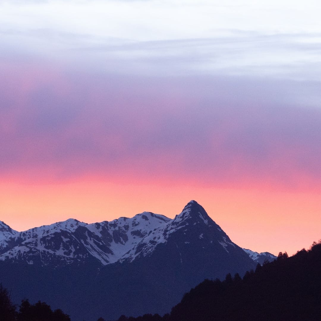 Rosehip Oil, 100% Organic Beautyologie