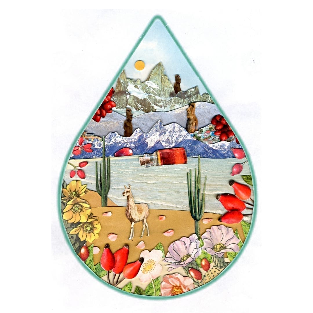 Rosehip Oil, 100% Organic Beautyologie