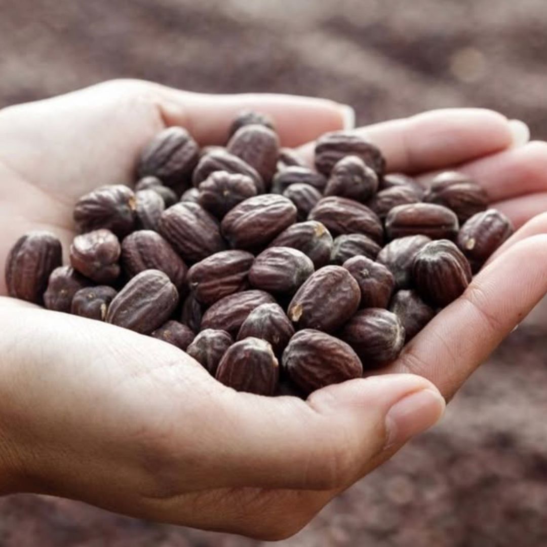 Santal + Jojoba Oil, 100% Organic Beautyologie