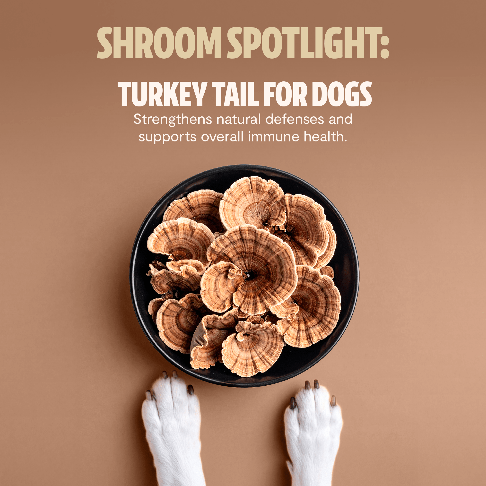 Shroomies® - Mushrooms For Dogs FreshCap Mushrooms