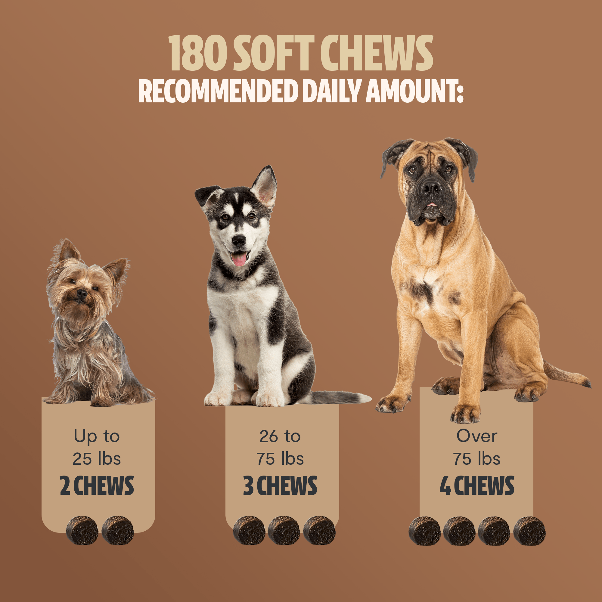 Shroomies® - Mushrooms For Dogs FreshCap Mushrooms