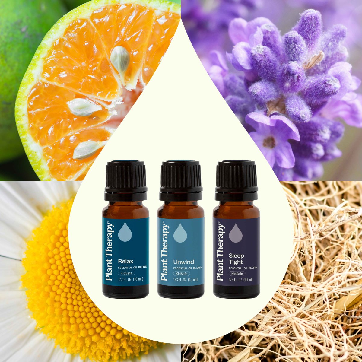Sleep Easy Essential Oil Blend Set Plant Therapy