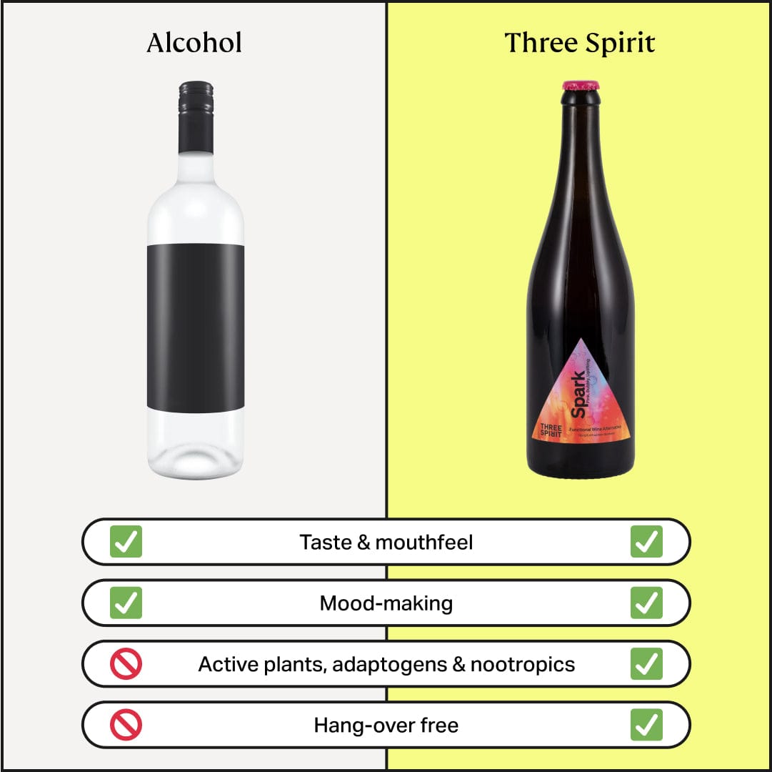 Spark • Non - Alcoholic Sparkling Alternative • The Party Starter Three Spirit US