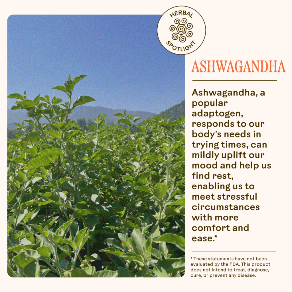 Stress Savior WOODEN SPOON HERBS