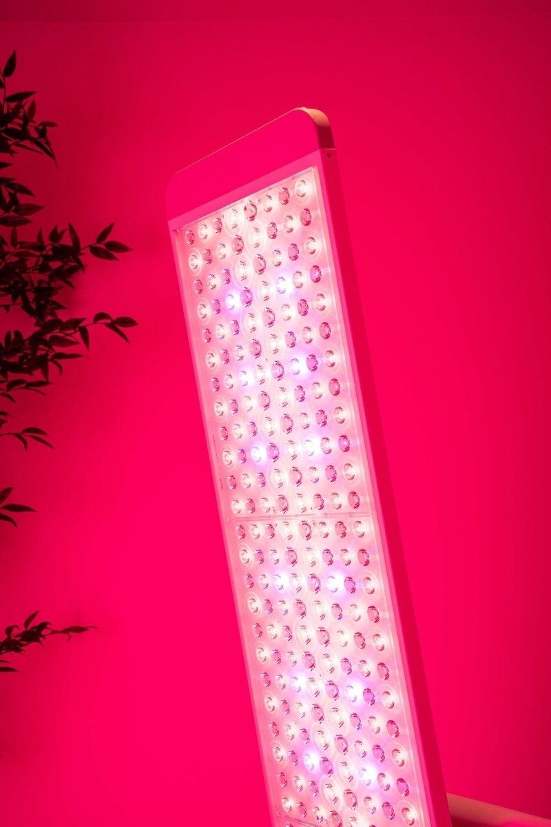 The Panorama Panel Renew Red Light