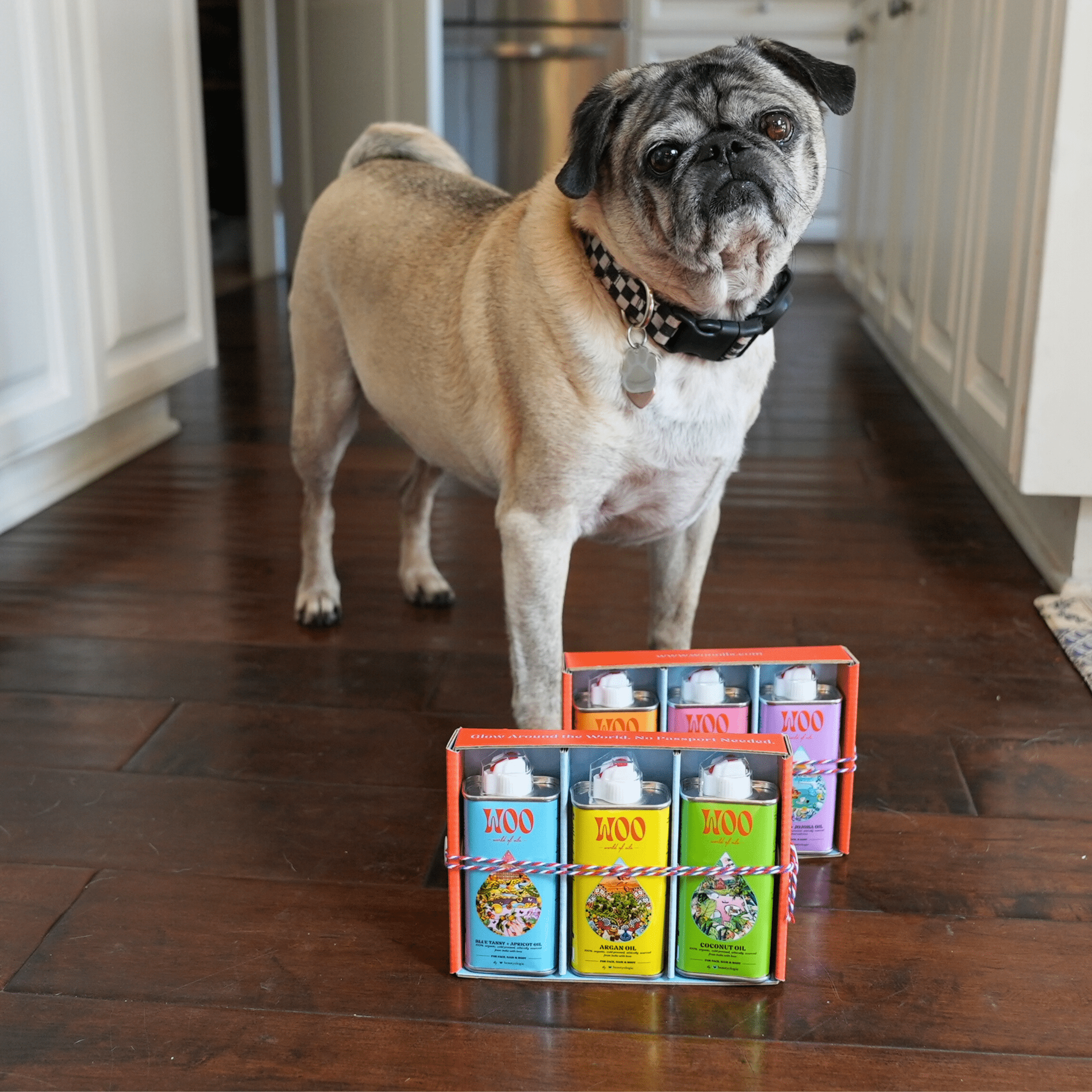 The Passport Box Beautyologie