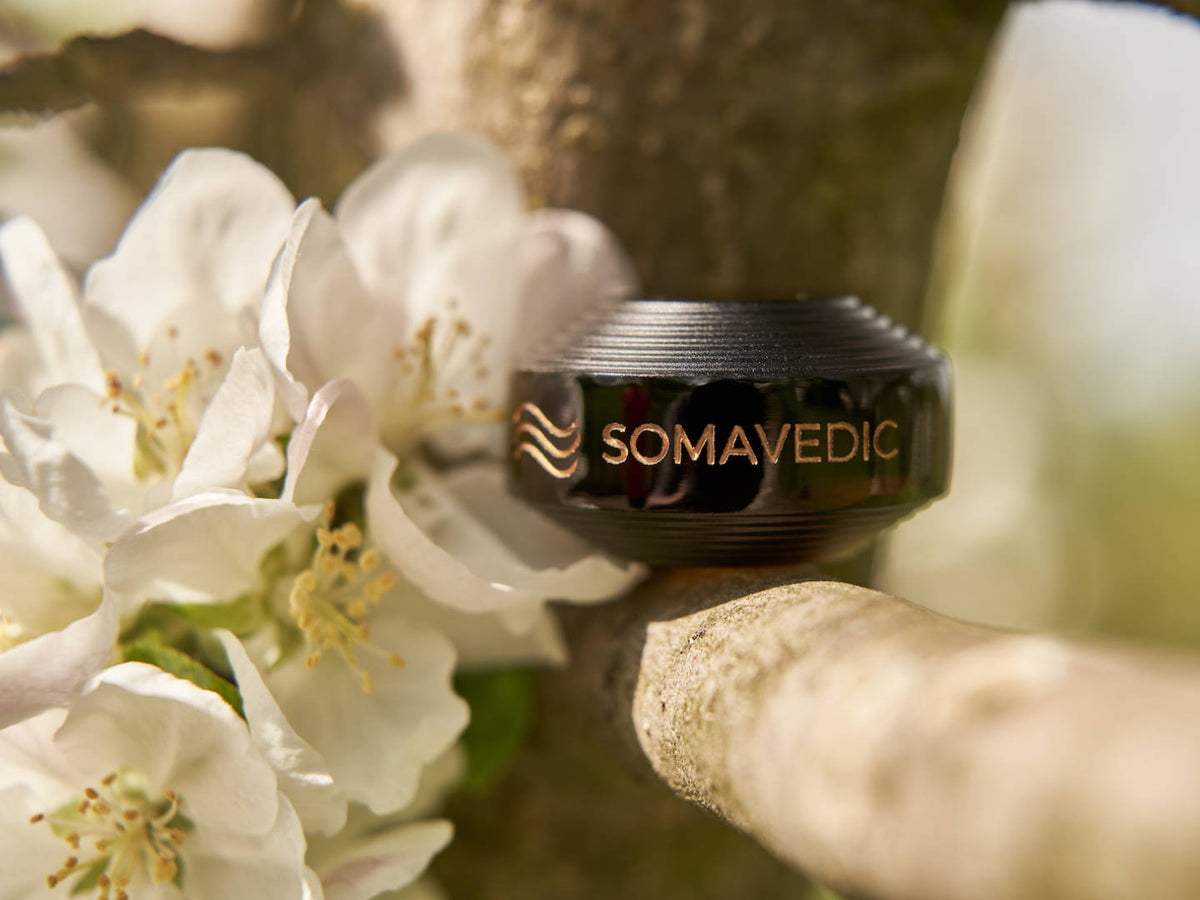 Somavedic Tiny black on a branch beside white apple blossoms