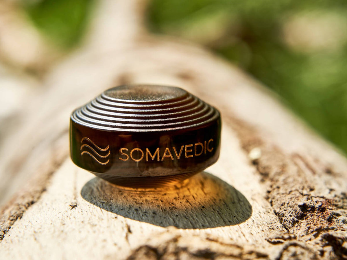 Somavedic Tiny black on a log with a soft shadow