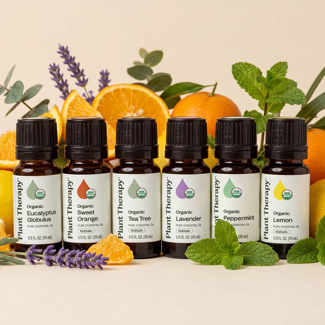 Top 6 Organic Singles Essential Oil Set Plant Therapy