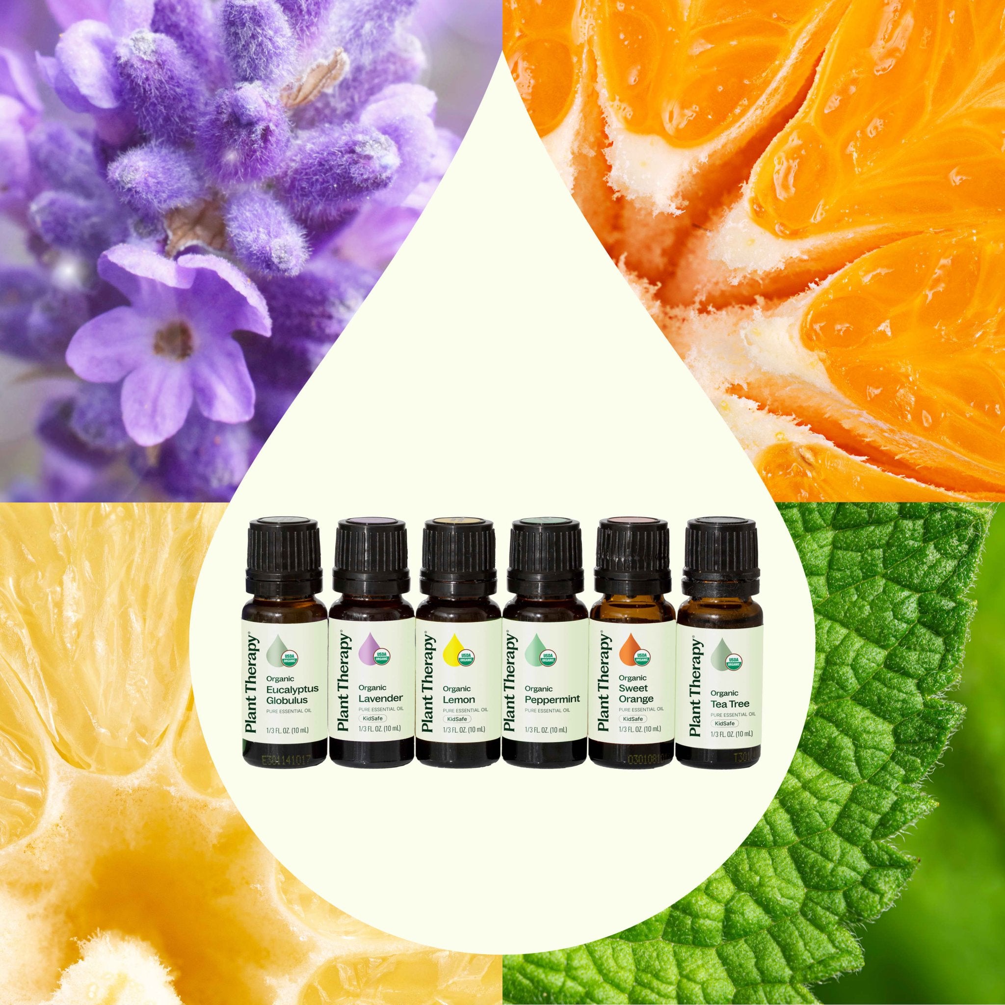 Top 6 Organic Singles Essential Oil Set Plant Therapy