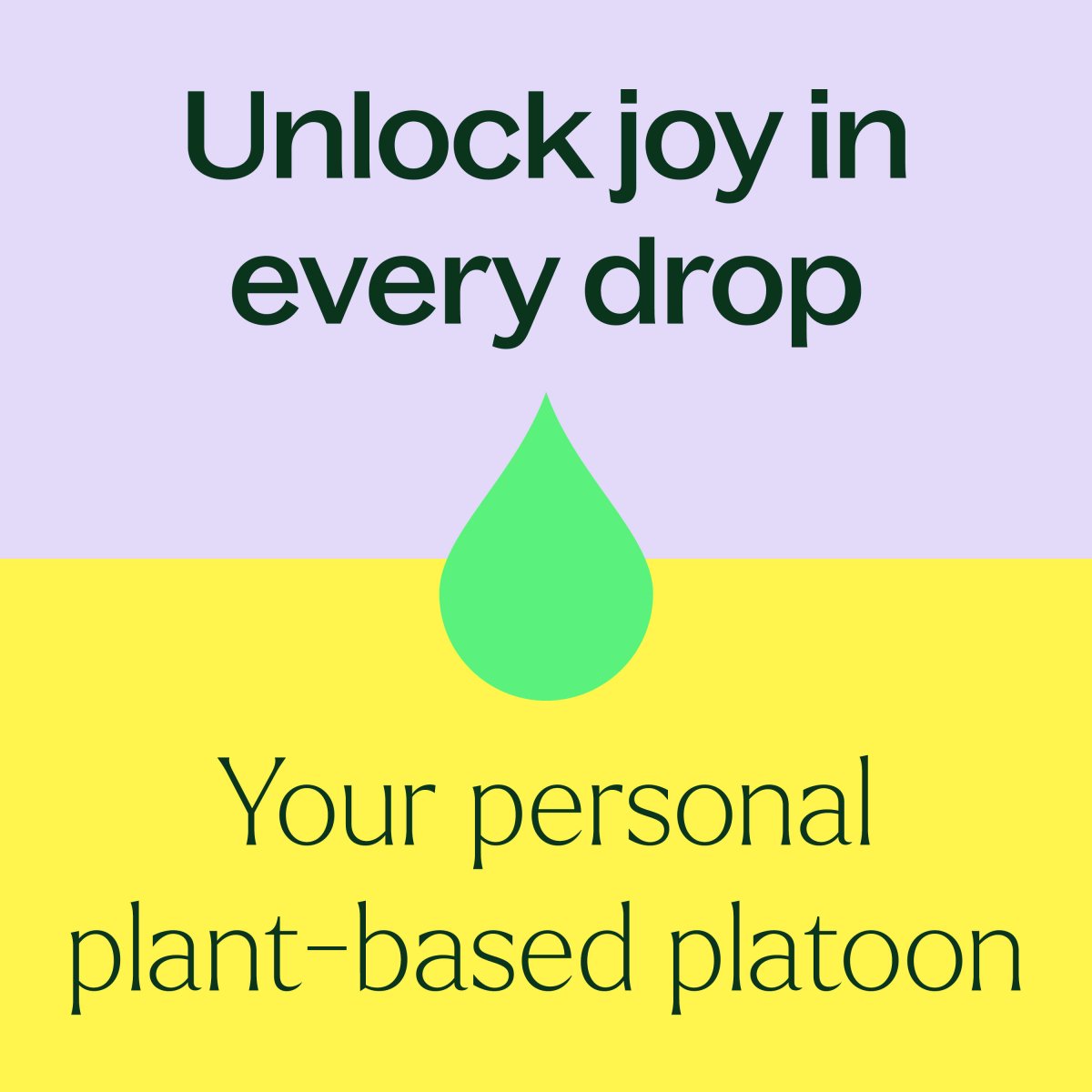 Top 6 Organic Singles Essential Oil Set Plant Therapy