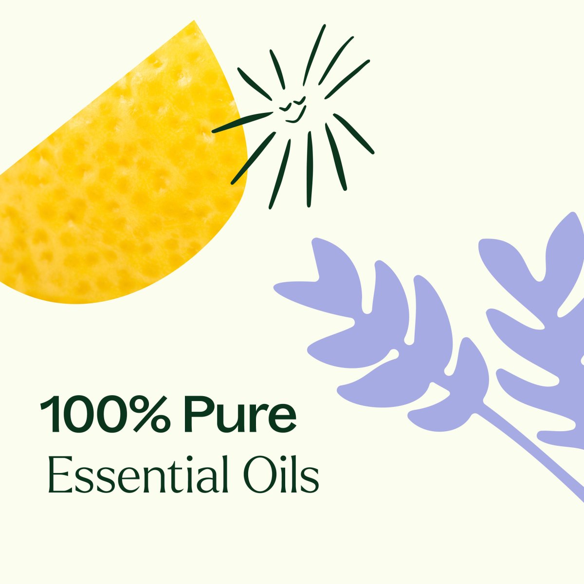 Top 6 Organic Singles Essential Oil Set Plant Therapy