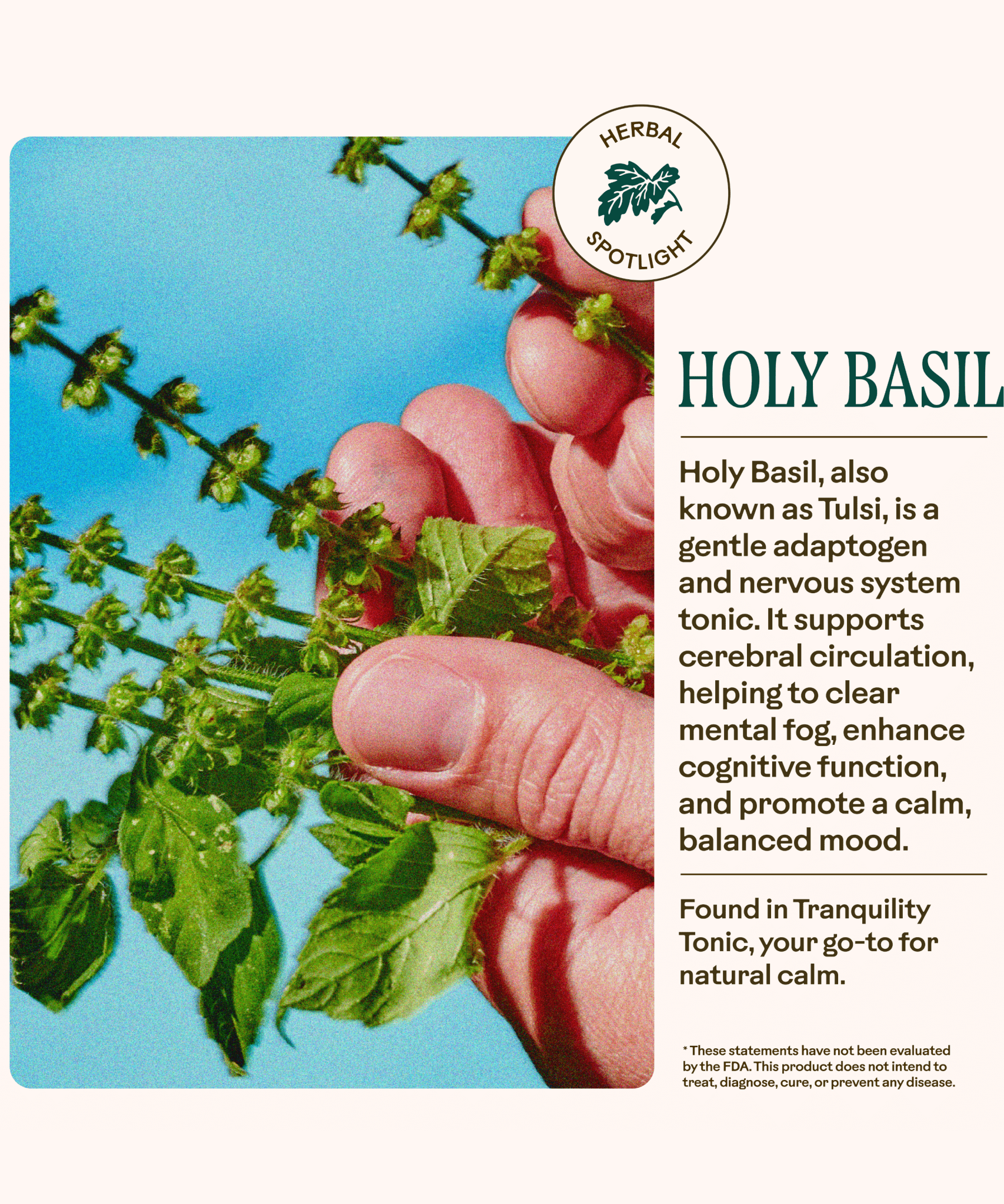 Tranquility Tonic WOODEN SPOON HERBS