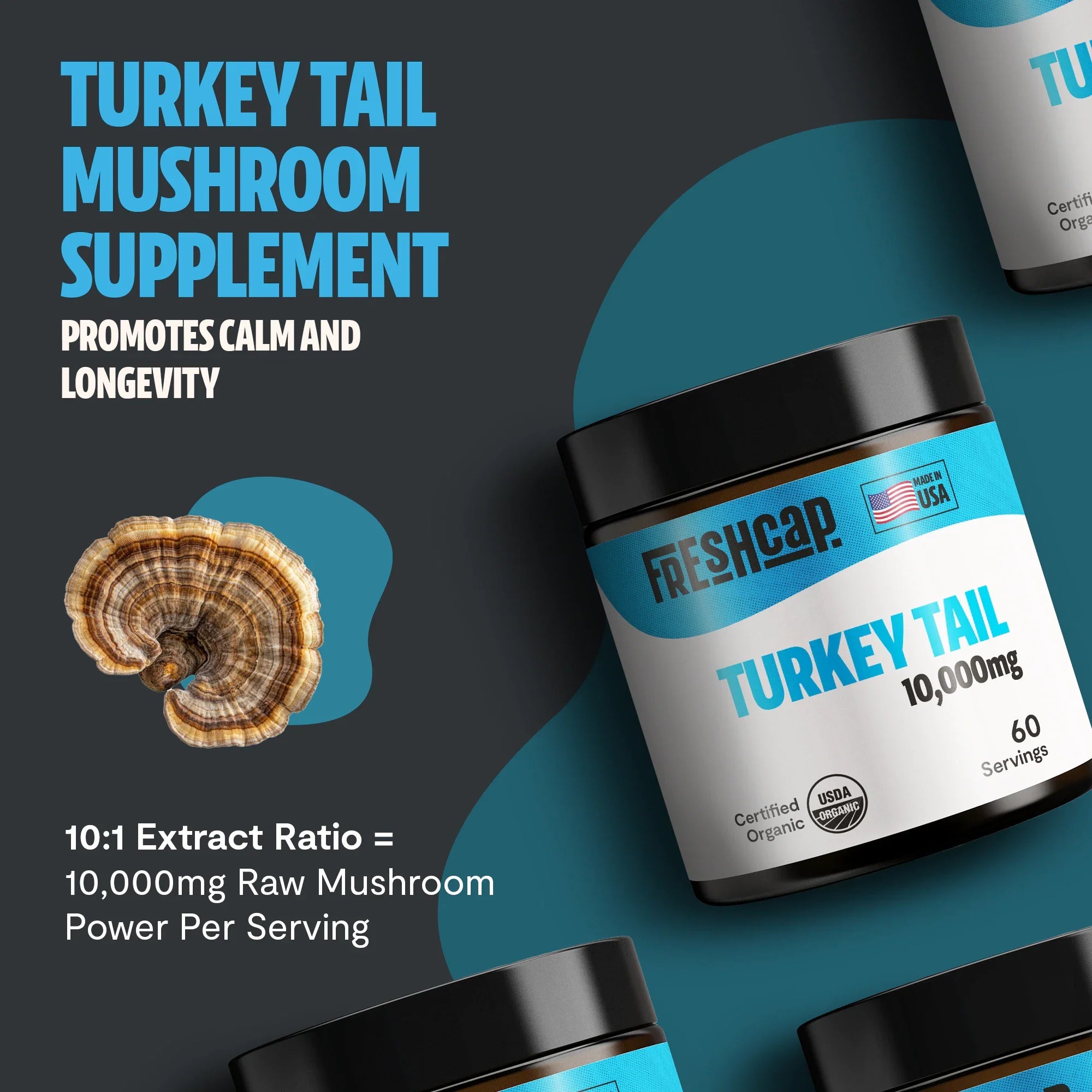 Turkey Tail Mushroom Extract Powder FreshCap Mushrooms