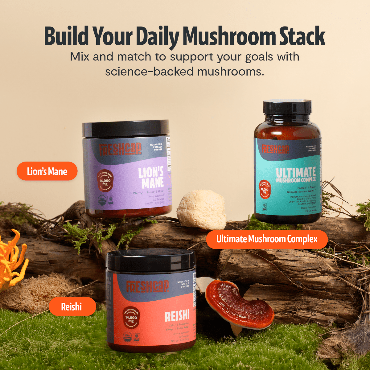 Build your daily mushroom stack: FreshCap Mushrooms Lion's Mane Powder, Ultimate Mushroom Complex and Reishi
