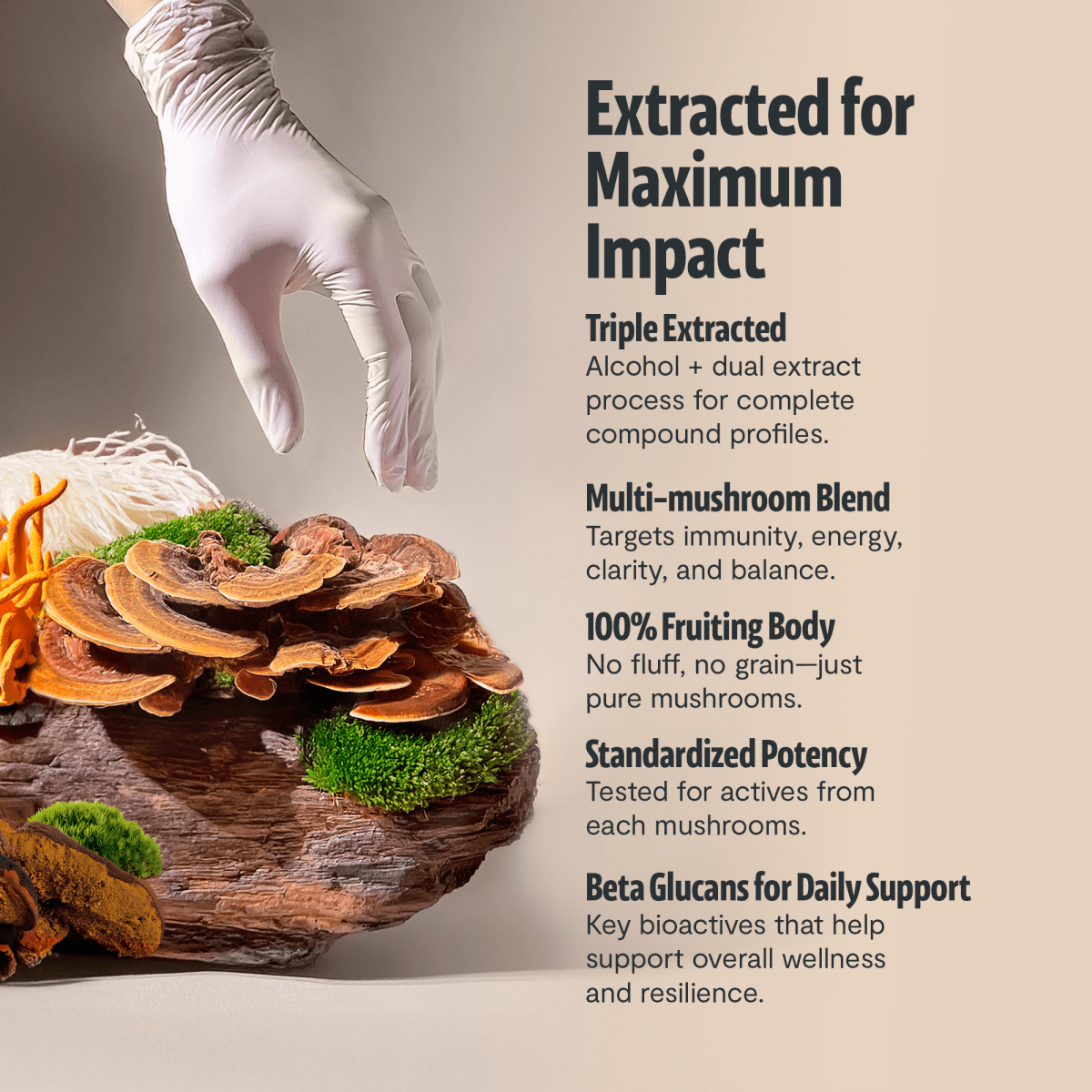 Ultimate Mushroom Complex Powder FreshCap Mushrooms