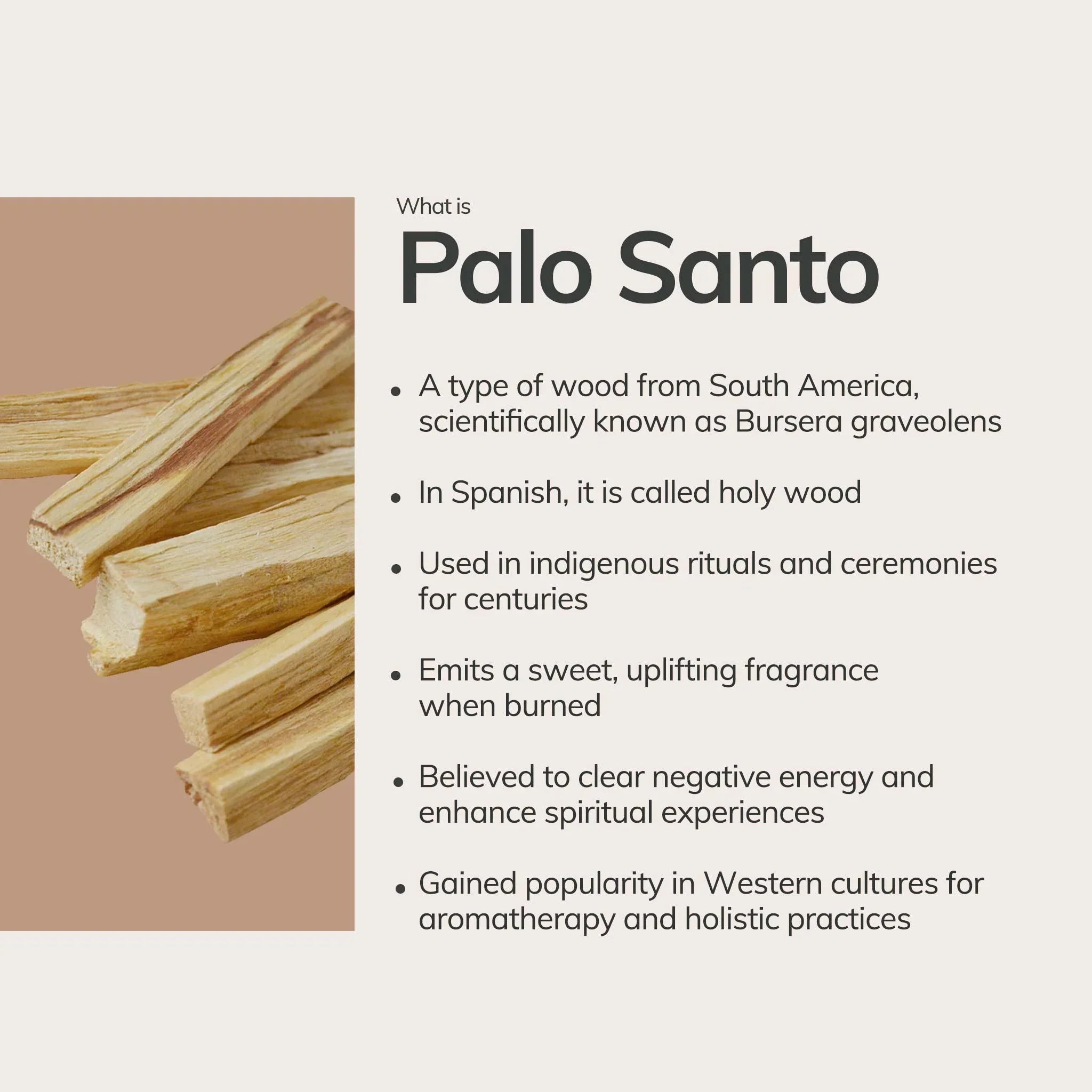 Ecuadorian Palo Santo Sticks (10 Pieces)