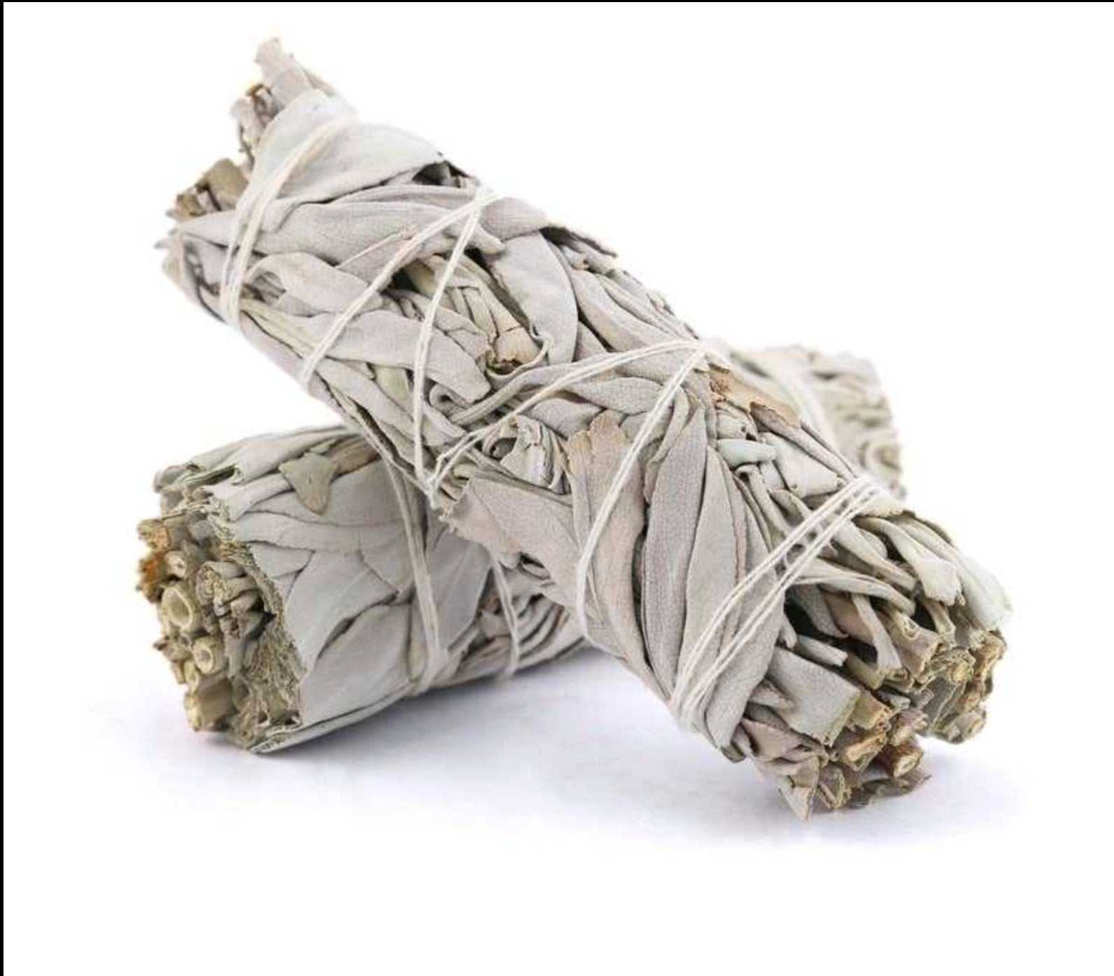 White Sage Smudge Stick (4 in.) Sacred Crystals