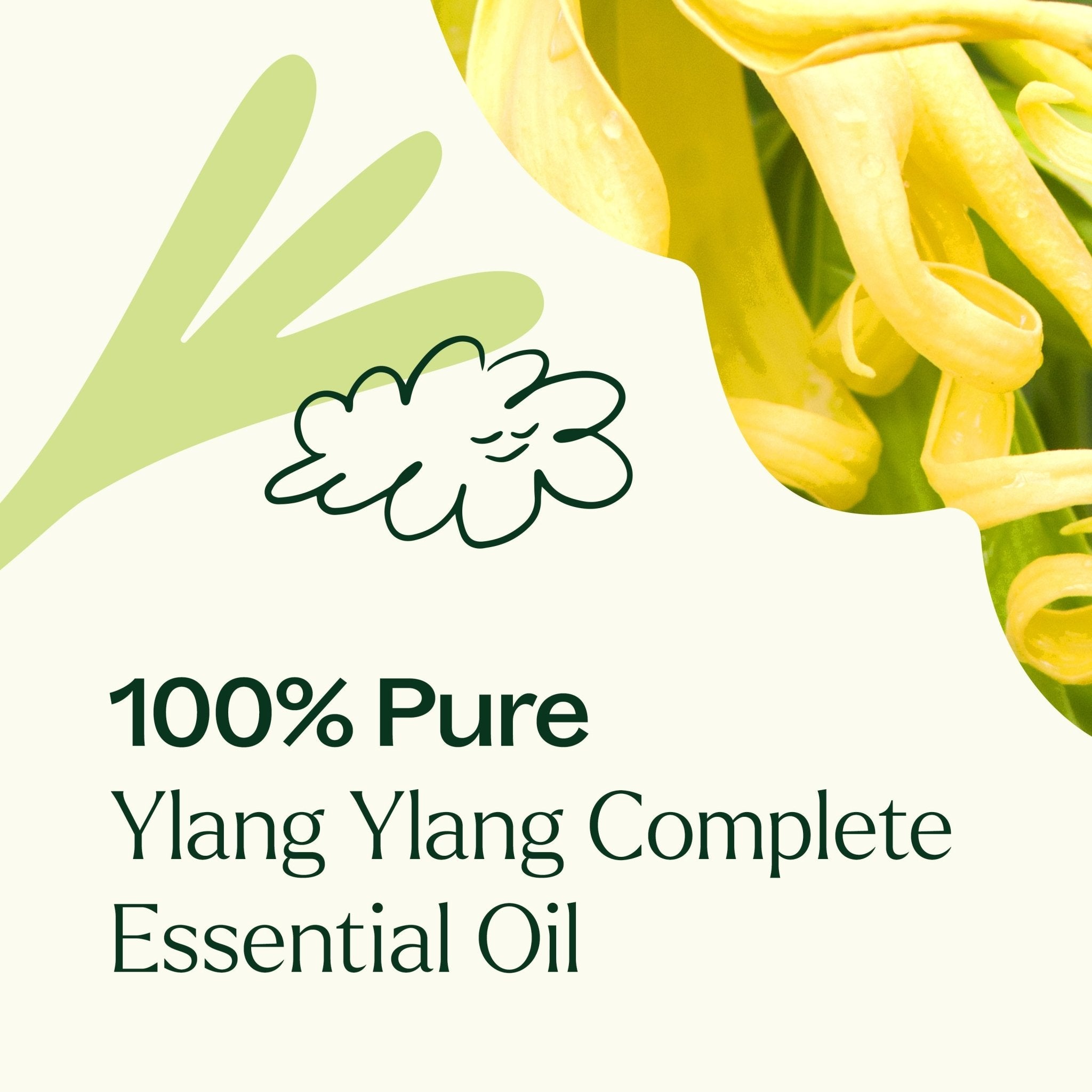 Ylang Ylang Complete Essential Oil Plant Therapy