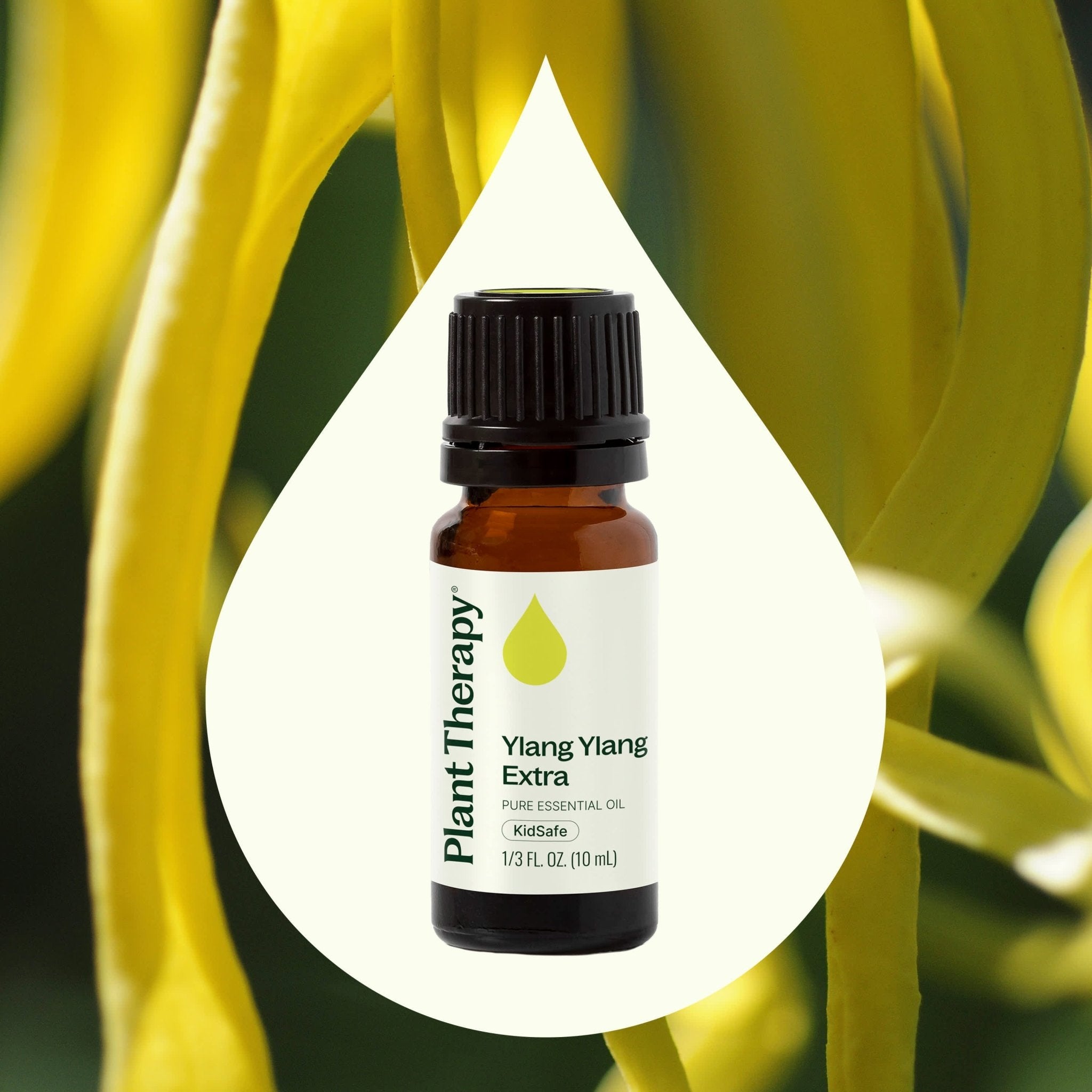Ylang Ylang Extra Essential Oil Plant Therapy